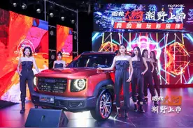 哈弗大狗山东区域上市，6年12次免费保养，动力终身质保图片