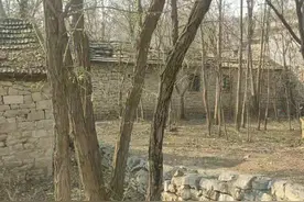 泰安的一座石头村落，老人全家把小山羊当成了宠物来养图片