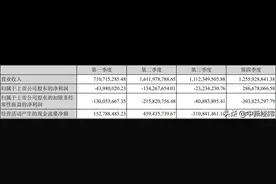 海马汽车2019年业绩扭亏：卖房卖子公司保壳起效 主业遭冲击图片