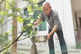 告别苦咸水 喝上纯净水   让农民享受市民的“水待遇”——西咸新区推进农村饮水安全巩固提升工程纪实图片
