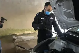 毒蛇“入侵”幼儿园 森警擒蛇解民忧图片