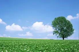 如何用《老子》取能考上北大清华的宝宝名，罕见好听图片