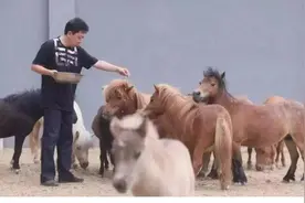 于谦不谦了？网传公司弄虚作假，此前网传拆迁获得4亿图片