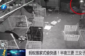 太荒唐！三名女子偷快递，还拍“拆快递”视频炫耀图片