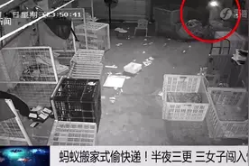 太荒唐！三名女子偷快递，还拍“拆快递”视频炫耀图片