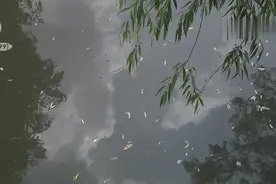 昆明一对5岁双胞胎独自在水边玩耍不幸溺亡！家长，你在哪？图片