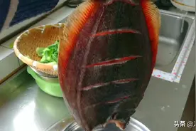 红烧比目鱼，做法简单，味道特别好，一家人吃嗨了图片