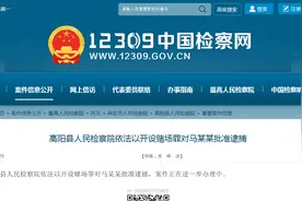 高阳县人民检察院依法以开设赌场罪对马某某批准逮捕图片
