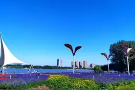 《东方讲座》读雷锋日记有感(三十五)图片