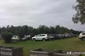 一个“平平无奇”的家庭农场，年收入可达3000W，怎么做到的？图片