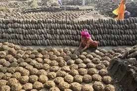 印度重口味“牛粪饼”在其国内畅销，中国游客纷纷感到难以直视图片