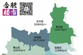 政务2.5万/㎡、滨湖1.9万/㎡…合肥二手房房价地图出炉图片