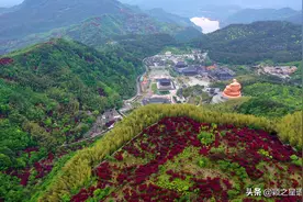 雪窦山，天路，池杉林，沿途红枫红翻天，美丽的环线风景线图片