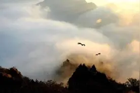 终南山房价飙升，仍有上万人“隐居”，有人还办起了道士培训班图片