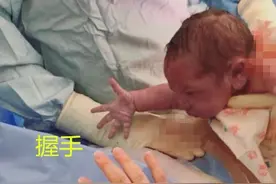 “暖心宝宝”走红，刚出生就找妈妈抱，上辈子的“小情人”来了？图片
