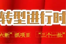 《转型进行时》丨山西：聚焦“六新”抓项目“三个一批”见实效图片