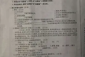 2020年安徽中考语文试卷图片