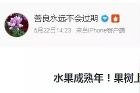 前段时间被当成樱花的这种树结果子啦，杭州很多地方都有！可以采来吃或者泡酒吗？图片