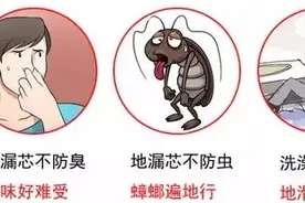下水快又不返味的地漏长啥样？老板良心推荐，从此远离小虫和臭味图片