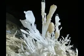 贵州又一石花洞穴重大发现，与钟乳石洞穴不同，精美石花惊艳路人图片