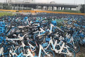 哈市现小蓝车“坟场”，乱七八糟停放数千台，都是因违停被扣的图片