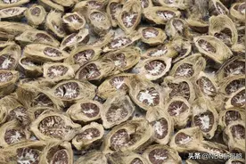 漩涡中的槟榔：爱不释口、致癌凶手和千亿产业图片