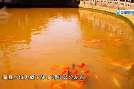 昆明黑龙潭一夜“变脸”！“请了很多地质专家，没有得到准确的答案”图片