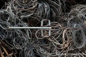 1230万个猎套正在夺走东南亚森林中的生命图片
