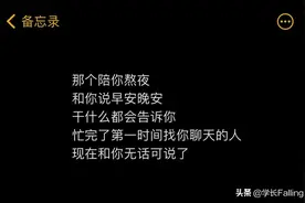 「备忘录」不过是因为我喜欢你图片