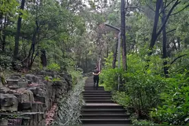 真正的“酷”图片