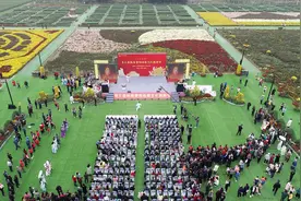 鄠邑区近500种菊花竞相绽放，第三届祖庵重阳仙菊文化旅游节开幕图片
