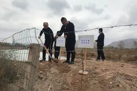 共享自然，保护黑天鹅从你我做起图片