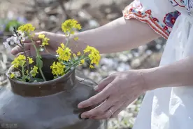 三月再见，四月你好：最美人间四月天，一切美好如你所愿图片