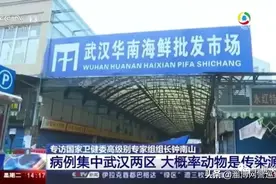 贵州男子捕杀食用果子狸被查处，顶风作案吃野味，比病毒更毒的是无知！图片