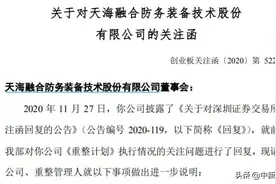 天海防务重整计划再收函：上海丁果是否借此套利图片