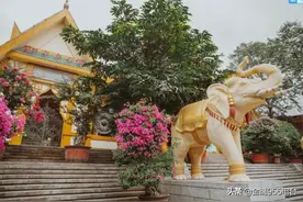 太任性了！4980元腾冲6日深度游，盘它图片