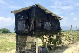 普法：江西53岁大爷被性侵案，刑法修正案九实施前后的代表性案件图片