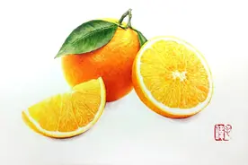 色铅彩绘 |细画橙子皮、肉、叶、梗【零基础彩铅画入门教程】图片