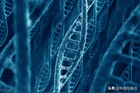 50个让人惊讶的人体事实图片