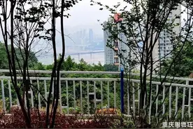 直达鹅岭公园，这条“荒坡”变身的步道游园请你来溜达图片