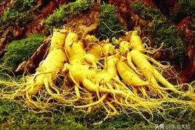 黑龙江省十大特产你知道多少？（上）图片