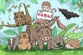 顺检说案︱抓青蛙也犯法？有一种罪叫做非法狩猎罪图片