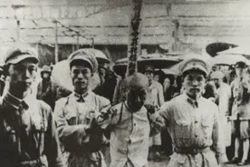 1970年一农场男子坦白，我杀了杨开慧，她当时没死，我又补了3枪图片