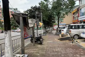 狂风骤雨后，贵阳街道一片狼藉，腰粗的大树被连根拔起…图片