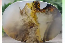 生物多样性一百只动物象形奇石图片