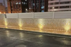 台风刮来大鱼？上海网友街头发现二十斤大鱼，附近就是苏州河图片