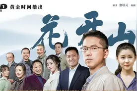 “真实自有万钧之力”，《花开山乡》见微知著展现乡村振兴图片