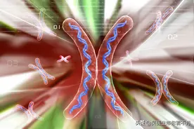 精子也分“男女”？这是一条很冷的生育知识（2）图片