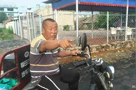 村民：屯里来了“瘦干儿狼一家”，起初以为是狗，有人差点被咬伤图片
