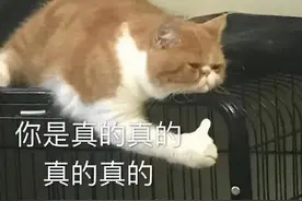 来聊一聊那些麻醉还没清醒时的迷惑行为图片